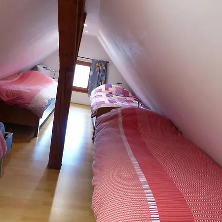 Апартаменты Spacieux Au Coeur De L'alsace 3*** Селеста