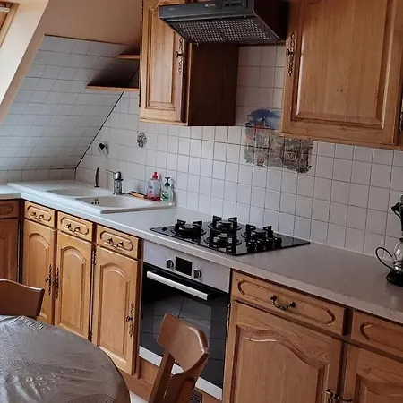 Spacieux Au Coeur De L'alsace 3***