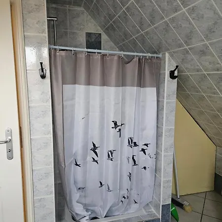 Апартаменты Spacieux Au Coeur De L'alsace 3***