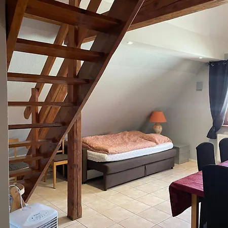 Spacieux Au Coeur De L'alsace 3*** Селеста