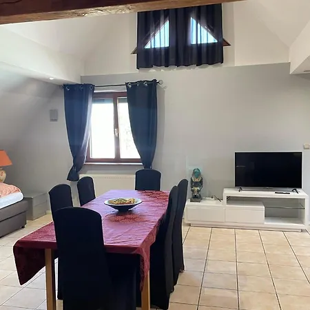 Spacieux Au Coeur De L'alsace 3***