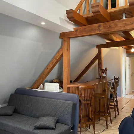 Spacieux Au Coeur De L'alsace 3*** *